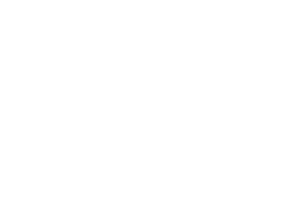 Logo Lokaal 55